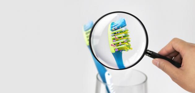 5 نصائح للحفاظ على فرشاة الأسنان من البكتيريا