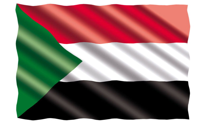 السودان يدين استهداف مصفاة الرياض : يهدد إمدادات الطاقة للعالم