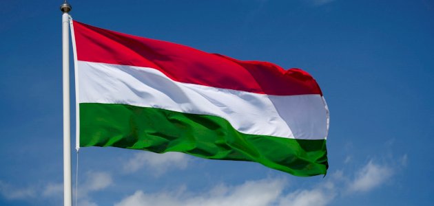 المجر : المبادرة السعودية تسهل الحل السياسي في اليمن