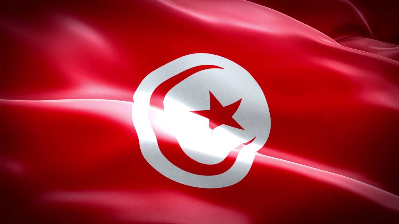 تونس : المبادرة السعودية تحفظ أمن اليمن