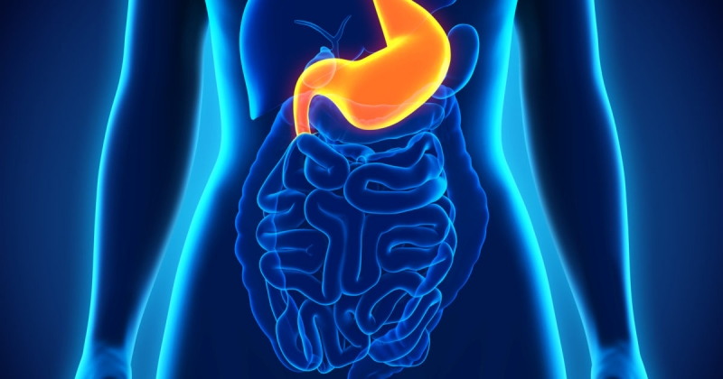 أعراض شلل المعدة الناتج عن ارتفاع السكر في الدم