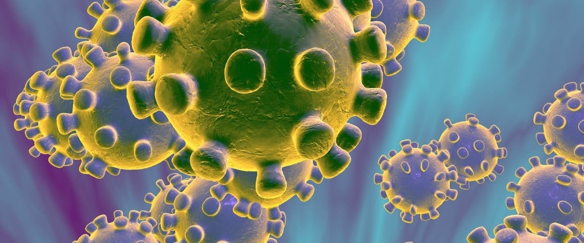 الصحة العالمية : لدينا الأدوات للسيطرة على فيروس كورونا بغضون أشهر