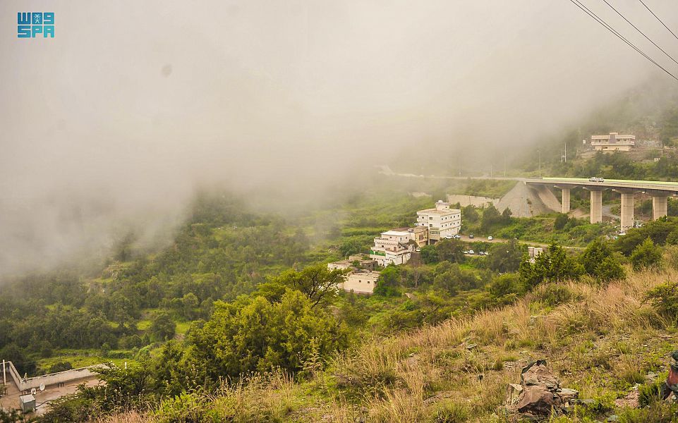 رجال المرور في الباحة