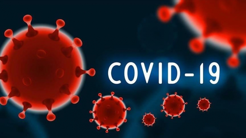 فصيلة الدم لا علاقة لها بخطر الإصابة بـ كوفيد-19