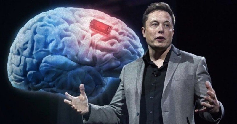 قرد يتحكم بالألعاب الإلكترونية بفضل شرائح Neuralink !