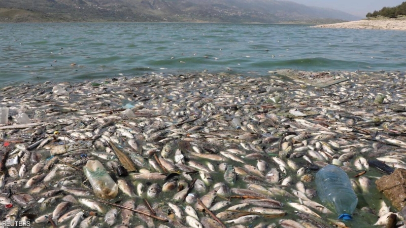 كارثة الأسماك النافقة بنهر الليطاني في لبنان وراءه الإهمال