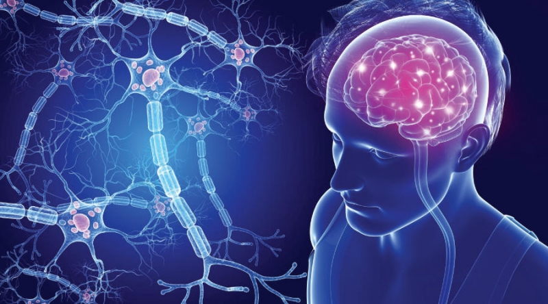 6 معلومات وحقائق عن التصلب اللويحي Multiple sclerosis