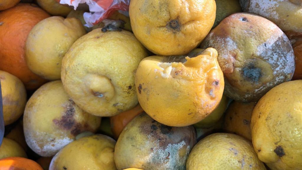 ضبط 624 كرتوناً من البرتقال والليمون الفاسد قبل توزيعها بالدمام