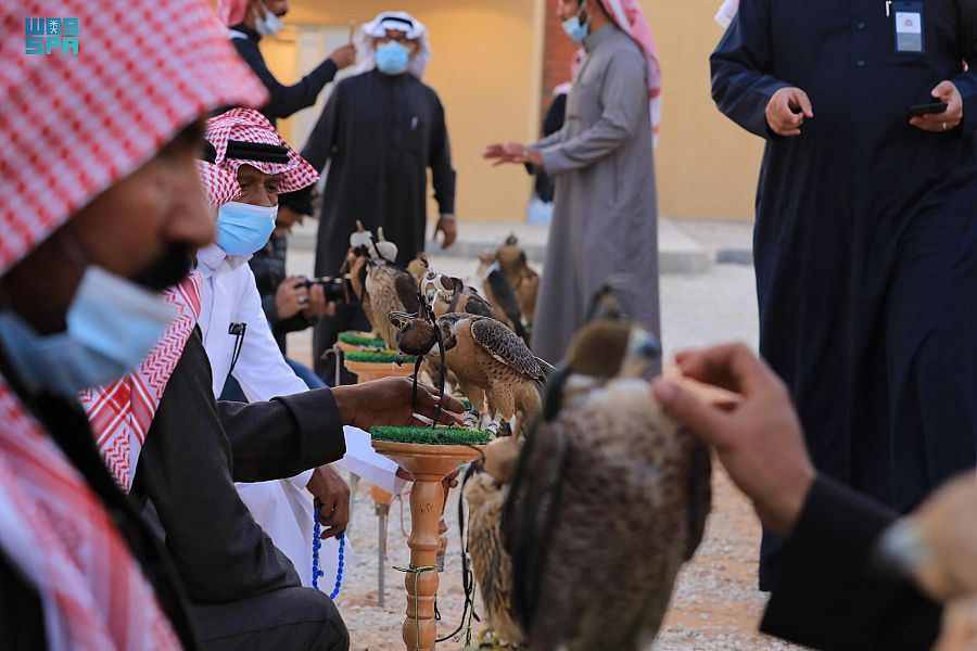 السعوديون والصقور.. على خُطى الأجداد في الوفاء لشريك الحياة البدوية