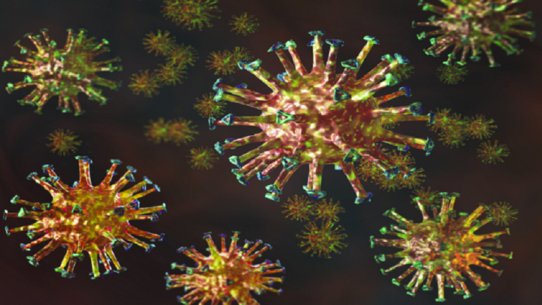 ظهور أول إصابة بـ فيروس ماربورج شديد العدوى في غينيا