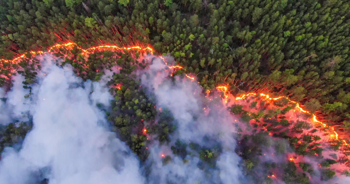 حرائق الغابات في روسيا تدمر 148 ألف فدان 