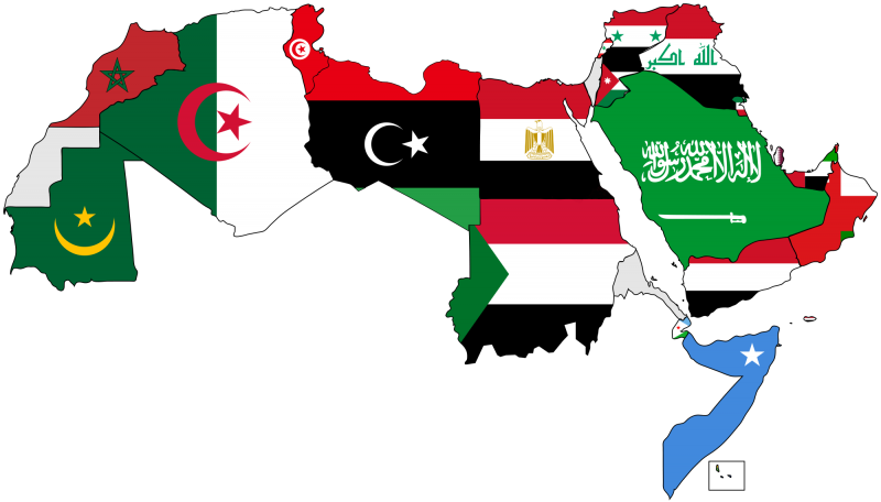كيف ستكون قوة البلاد العربية حال اتحادها اقتصاديًا وعسكريًا ؟