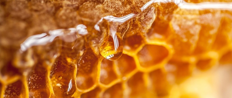 هذا ما يحدث في جسدك عند تناول ملعقة عسل يوميًا