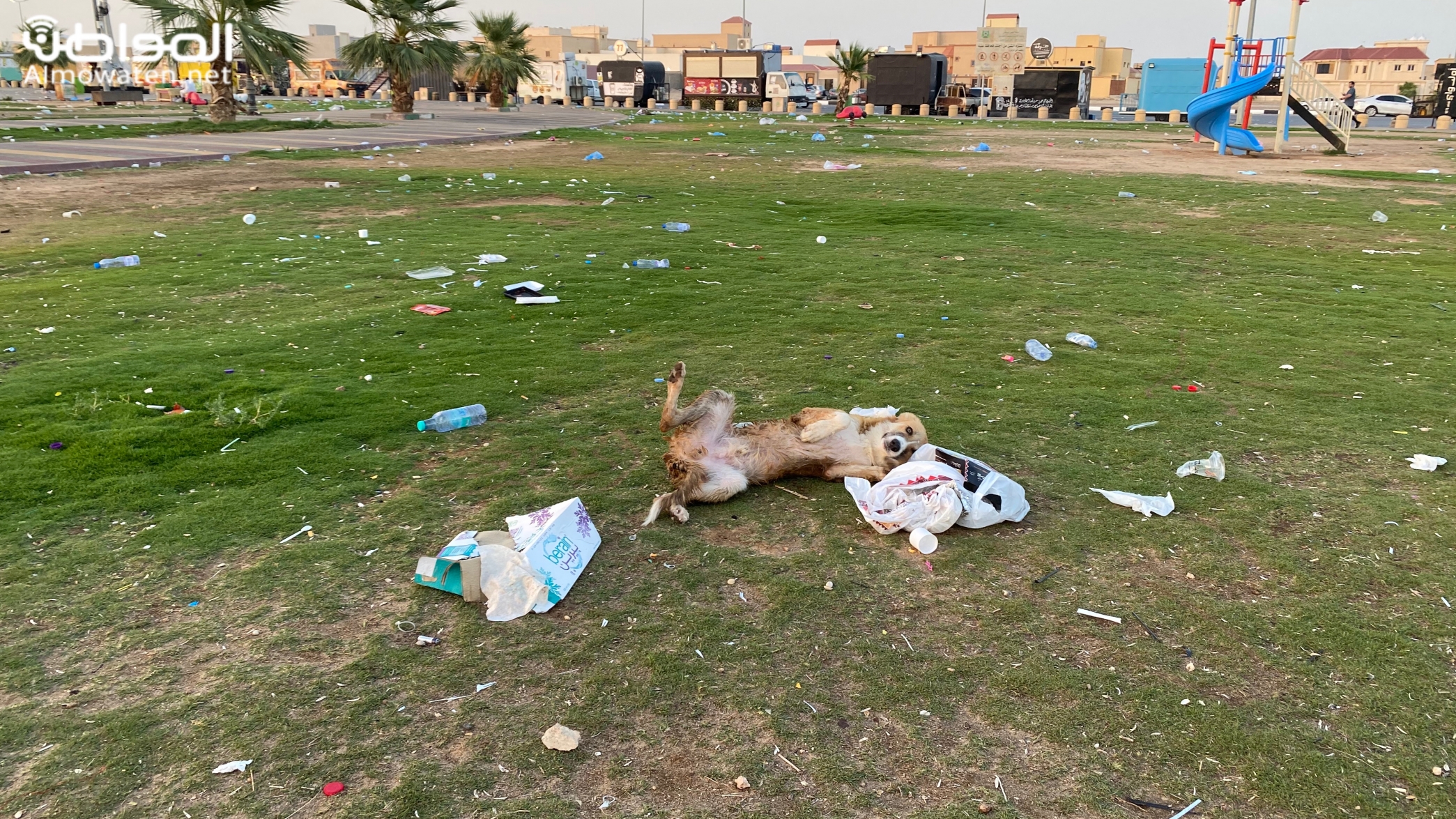 2 مليون طن نفايات بلاستيك في السعودية