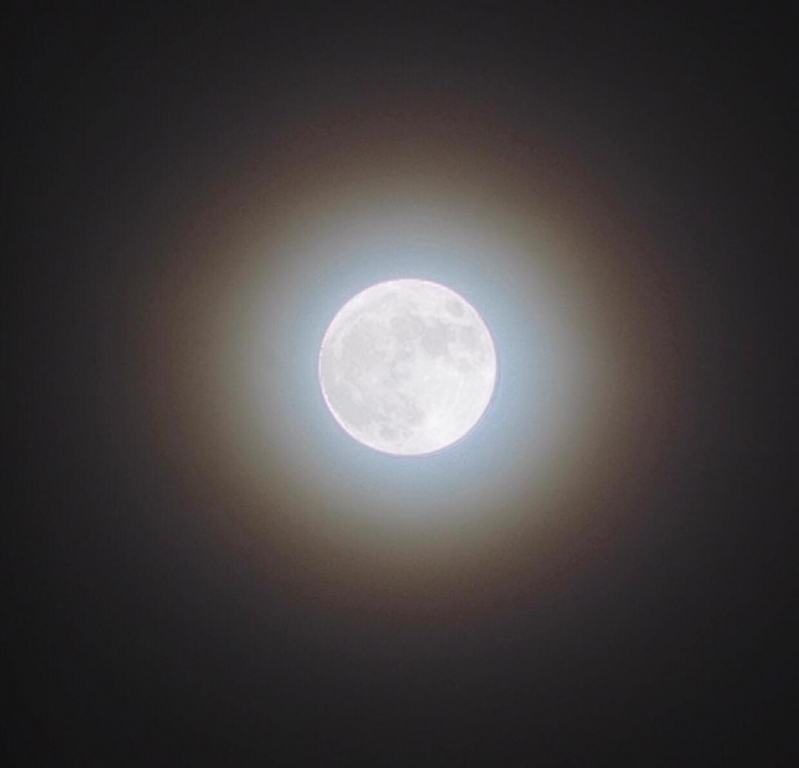 في هذه الحالة يمكن رؤية إكليل القمر اليوم صحيفة المواطن الإلكترونية