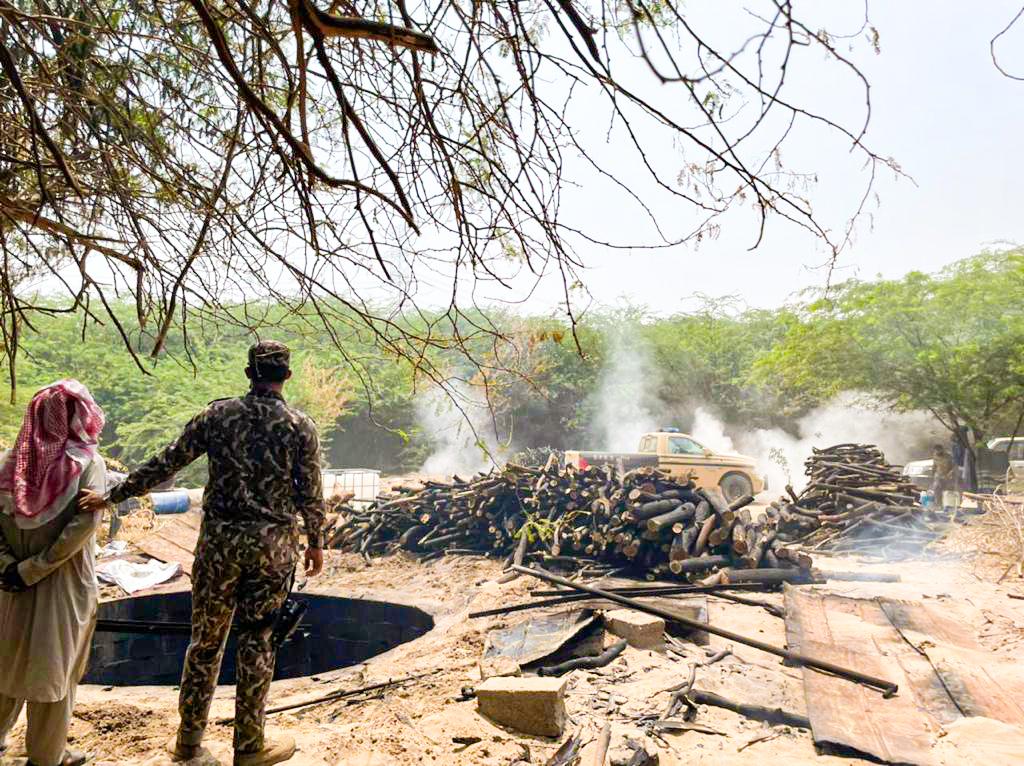 ضبط مخالفين يقطعون الأشجار لتحويلها إلى فحم بمنطقة مكة