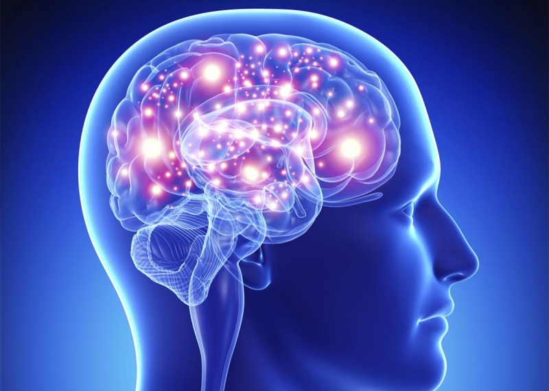 أخطر 5 مواد غذائية على الدماغ