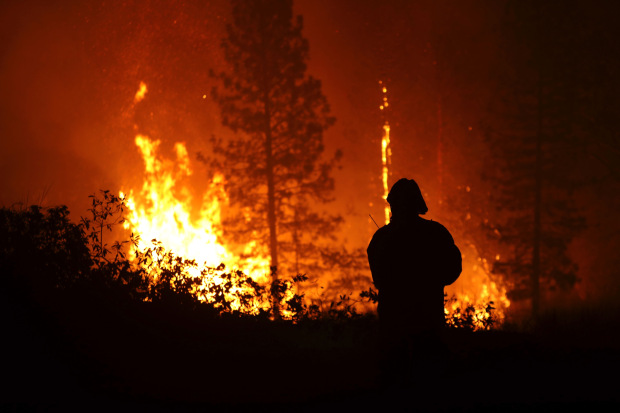 البرق يحرق 10 آلاف فدان من غابات ولاية يوتا الأمريكية !