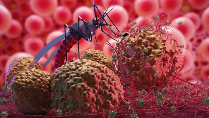 الصين تعلن إنهاء حرب دامت 70 عامًا على الملاريا