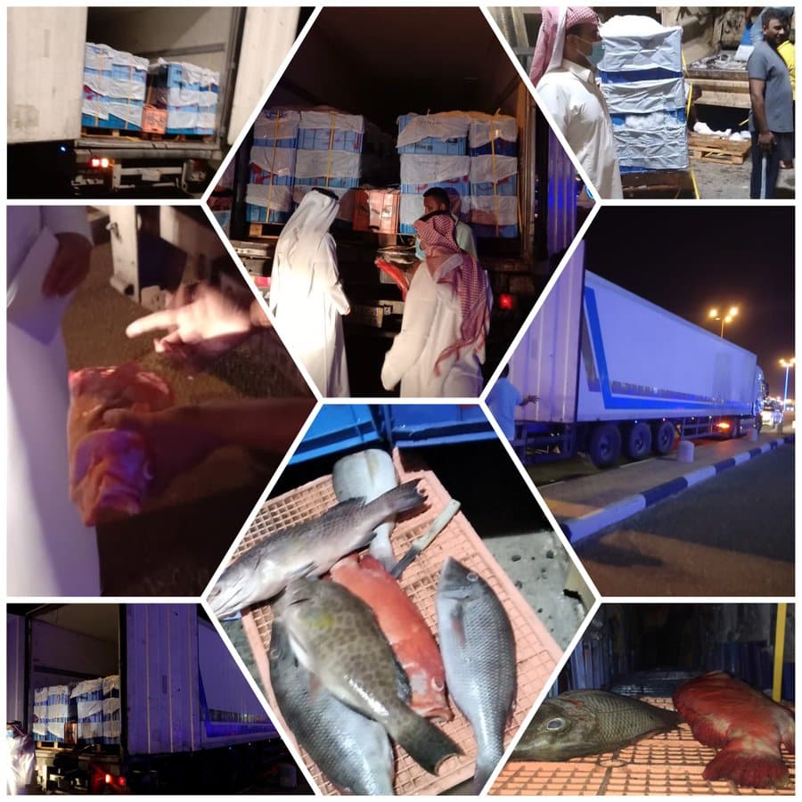 مصادرة وإتلاف 12180 طناً من الأسماك الفاسدة قادمة من اليمن