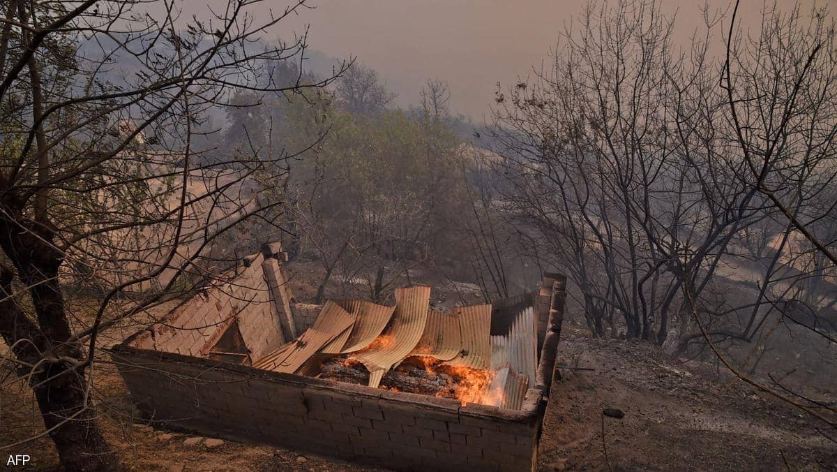 ارتفاع ضحايا حرائق الغابات إلى 65 شخصًا بالجزائر وإعلان الحداد الوطني