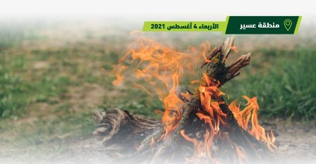 توقيف 20 مخالفًا أشعلوا النار في منتزه الملك عبدالعزيز الوطني بالسودة