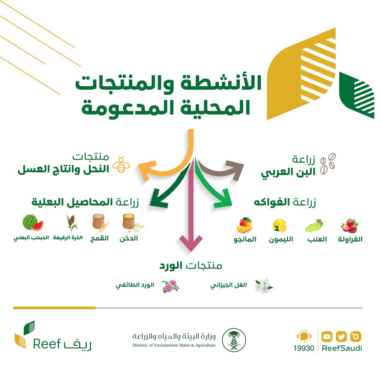 هل السجل التجاري يؤثر على التوظيف العسكري