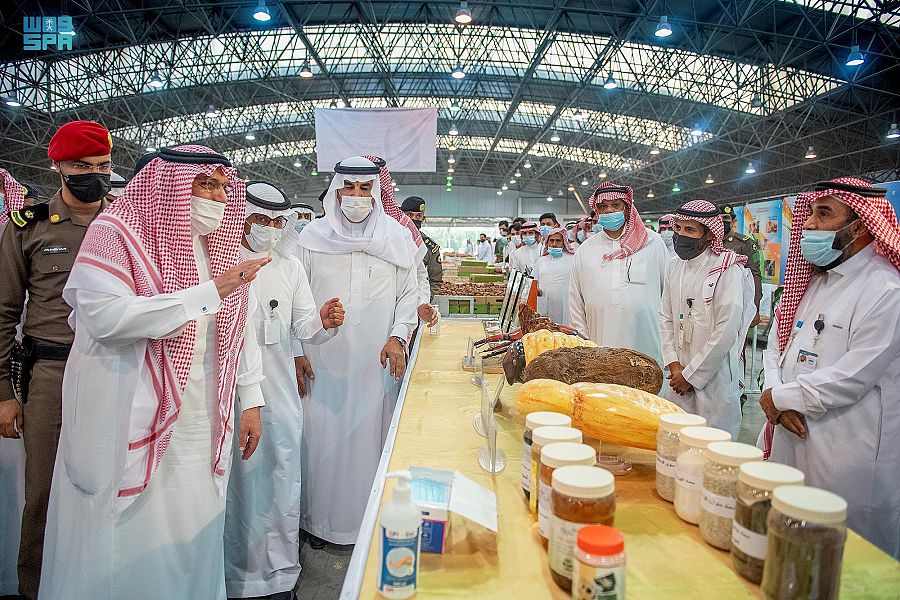 أمير القصيم لمزارعي ومنتجي التمور: ركزوا على تعزيز السكرية الحمراء