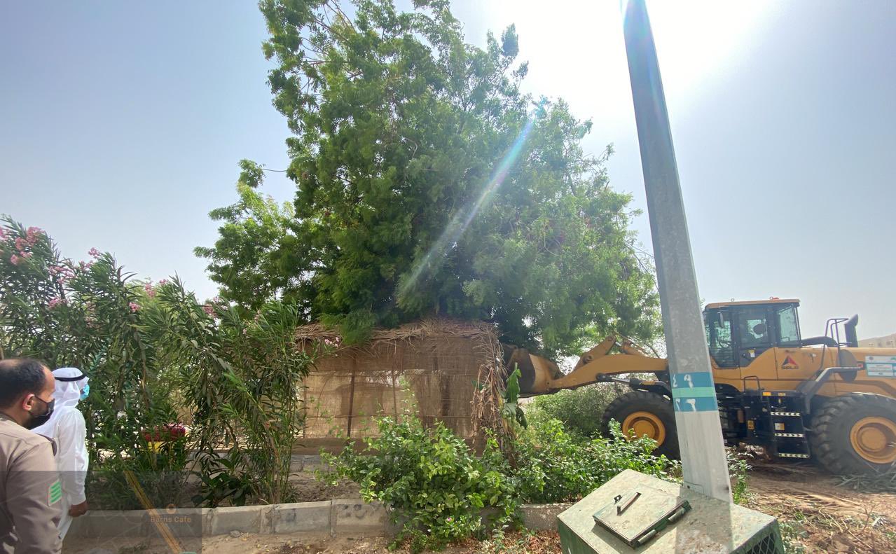 إزالة تعدٍّ جزئي على موقع حديقة عامة في زهرة العمرة
