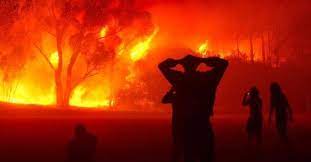حرائق الجزائر تقتل العشرات والدخان يغطي شرقي العاصمة