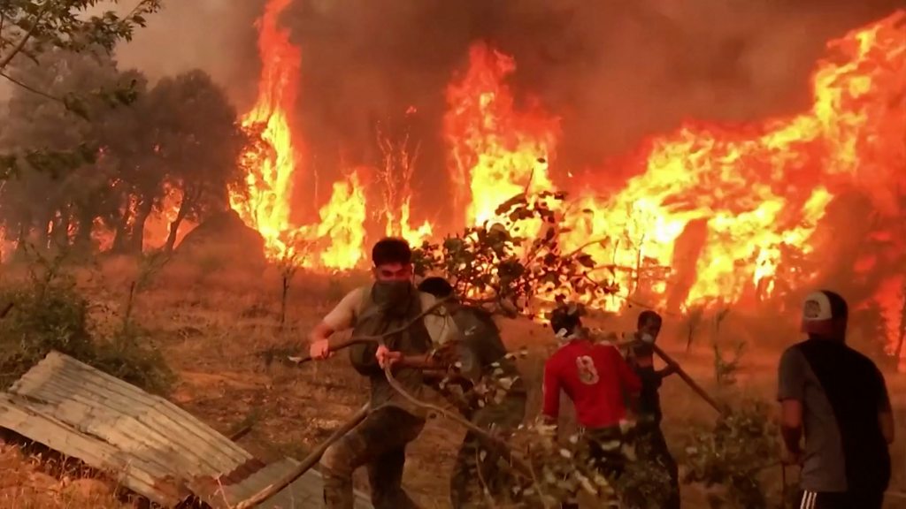 الجزائر: حرائق الغابات مفتعلة