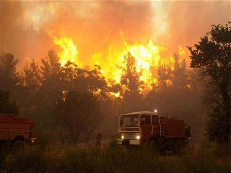 اندلاع حرائق في غابات فرنسا بسبب موجة الحر الشديد