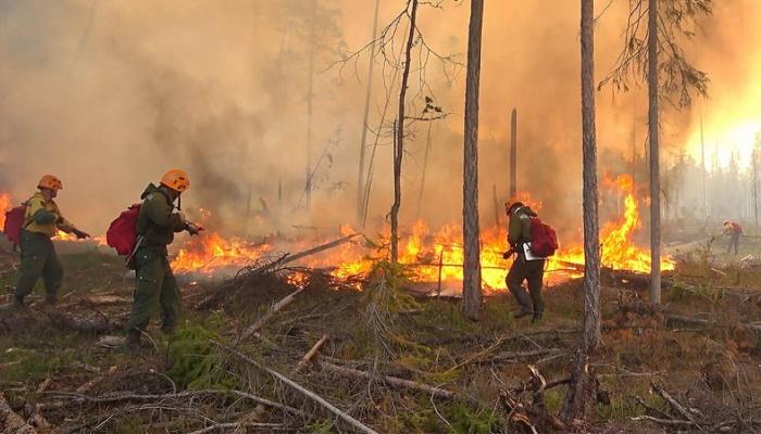 الحرائق تلتهم 17.6 مليون هكتار من الغابات في روسيا