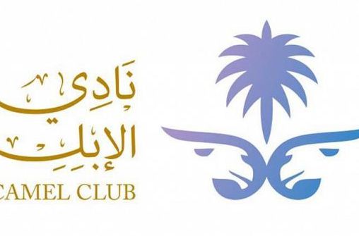 تغيير شروط فئة الفحل المنتج في مهرجان الملك عبدالعزيز للإبل