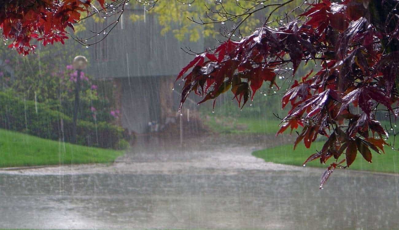 أمطار رعدية على المهد ووادي الفرع حتى العاشرة