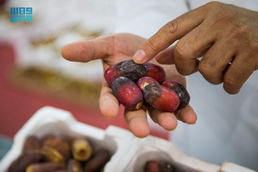 حلوة الجوف تتصدر البيع في رابع أيام مهرجان التمر والعسل بدومة الجندل