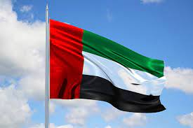 الإمارات: يجب اتخاذ موقف فوري وحاسم لوقف العدوان الحوثي