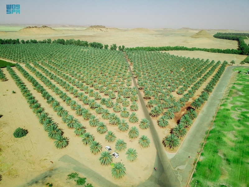 التمور
