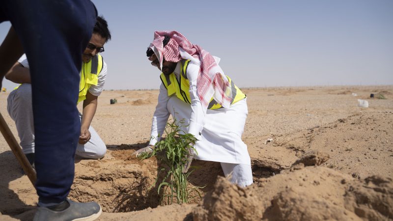 حملة "لنجعلها خضراء"‬⁩ في مسيّج وادي فليج الجنوبي