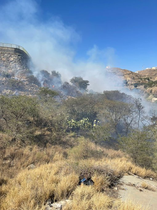 الدفاع المدني يسيطر على حريق وادي سد أبها ولا إصابات - المواطن