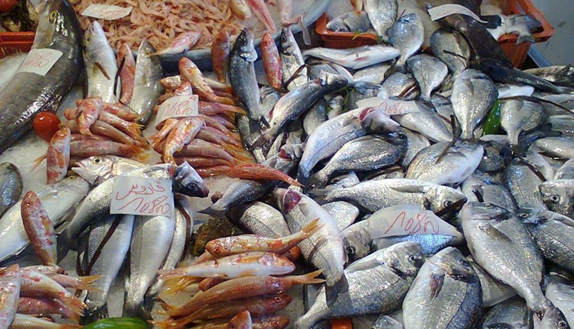 إتلاف 1.5 طن أسماك وورقيات فاسدة في أحد أسواق وسط سكاكا