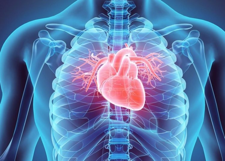 اكتشاف أول علاج في العالم للنوبات القلبية - المواطن