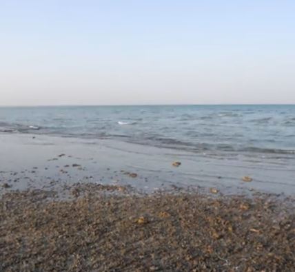 الزعاق: نسائم البحر اللطيفة تؤذن بدخول موسم القفال