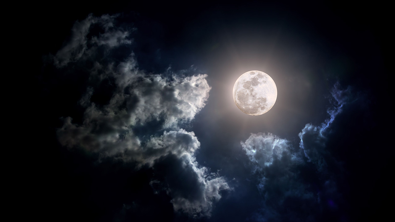 الحصيني: الجلوس تحت أديم السماء في الليل مضر للجسم واحذروا التكييف