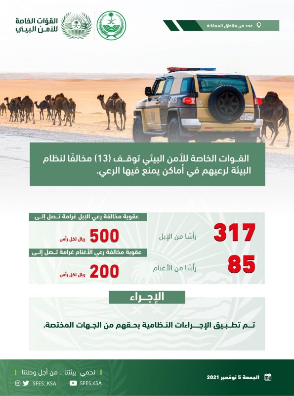 نظام البيئة