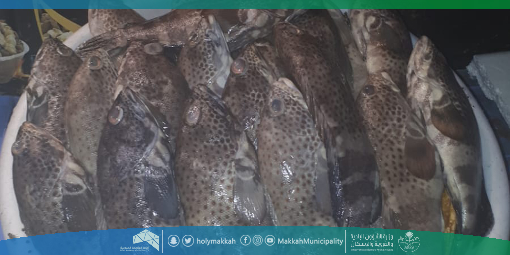 ضبط 3 أطنان أسماك ولحوم وخضراوات فاسدة في مكة المكرمة