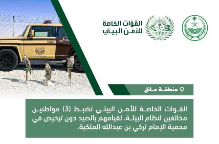  ضبط 3 مواطنين اصطادوا صقورًا في محمية الإمام تركي بحائل
