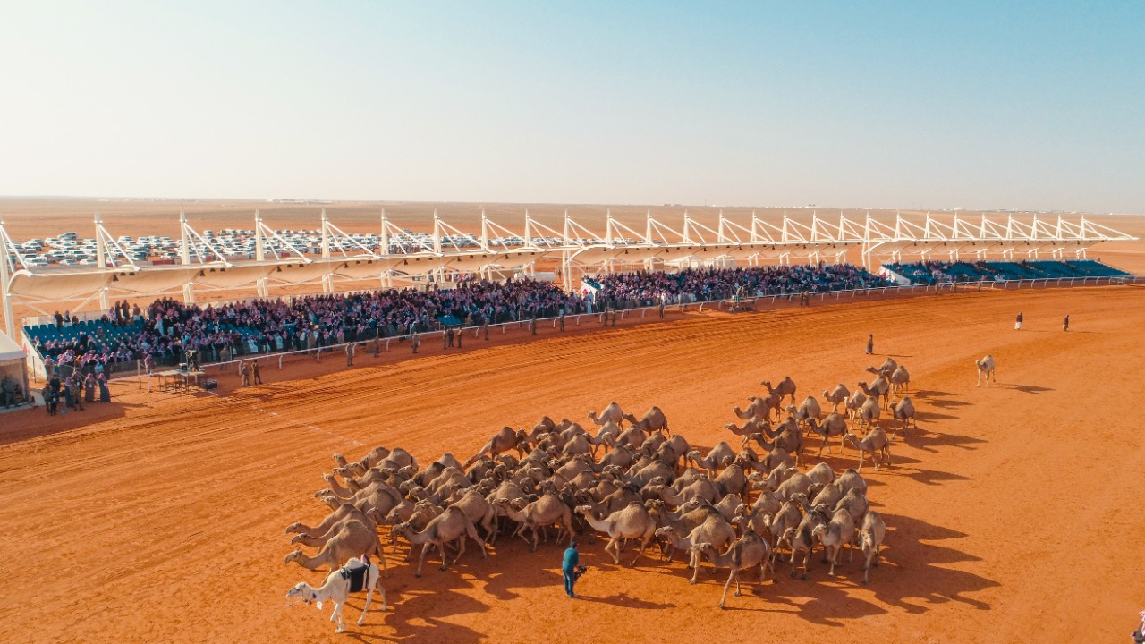 مهرجان الإبل يقدم تسهيلات خاصة لذوي الإعاقة