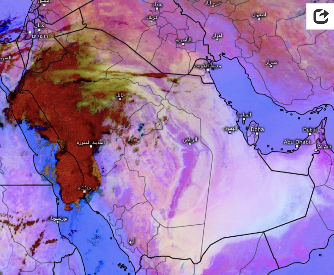 المسند: الحالة المطرية الأولى بدأت اليوم