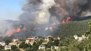 بالفيديو.. اندلاع حريق هائل جنوب لبنان